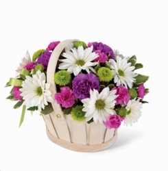 April Special 1 - Save $5 Flower Power, Florist Davenport FL